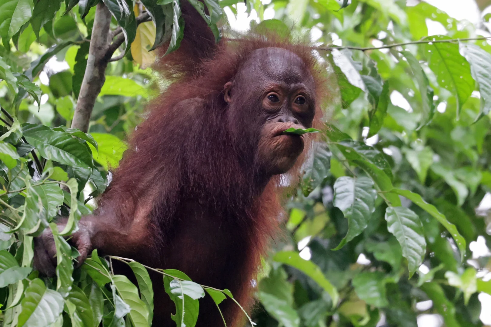 Beautiful bird photography 18