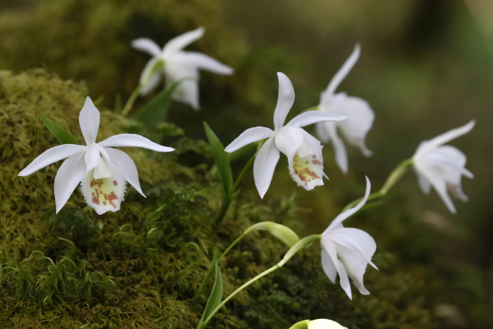 Beautiful bird photography 21