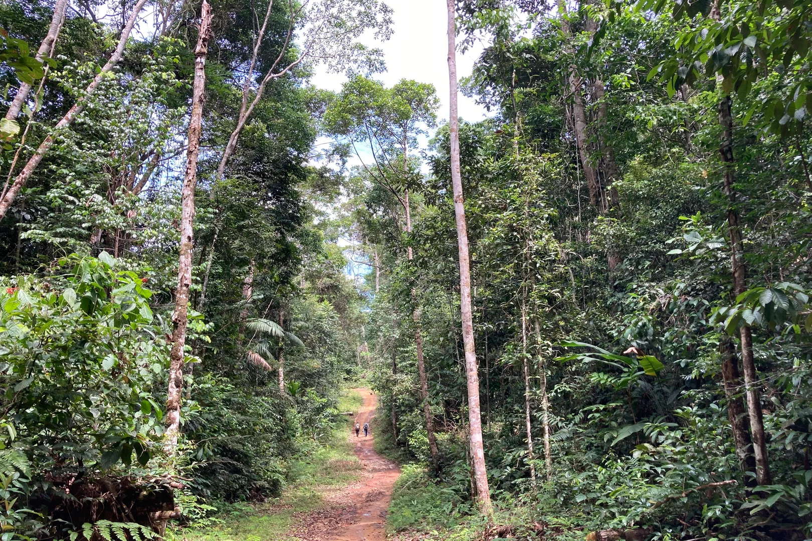 Beautiful bird photography 23